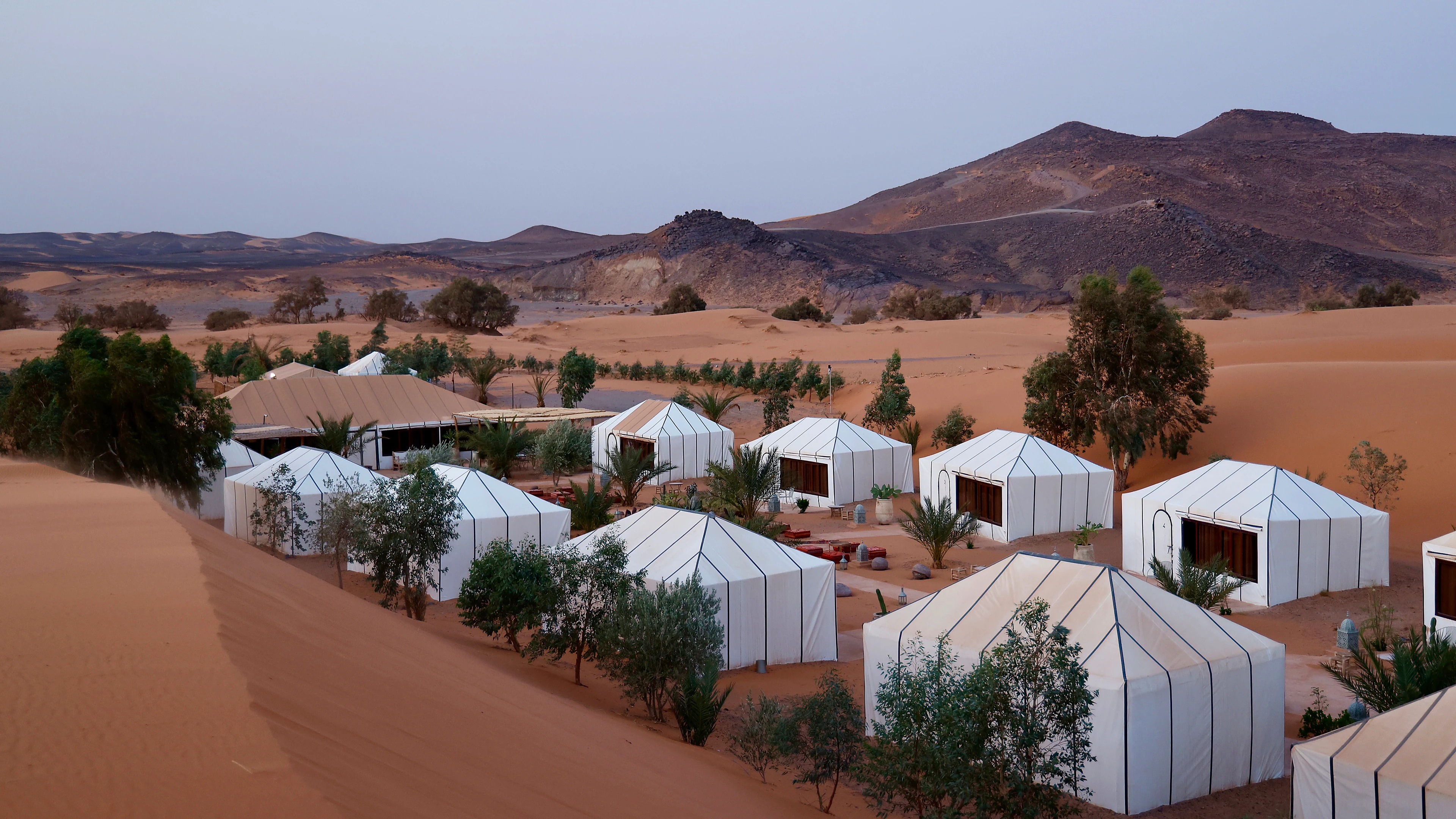 Traveller Review: Why Families Choose a Private Desert Safari