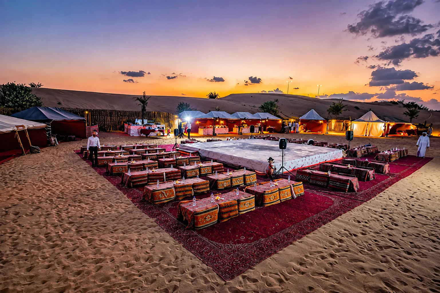 Desert safari BBQ dinner experience